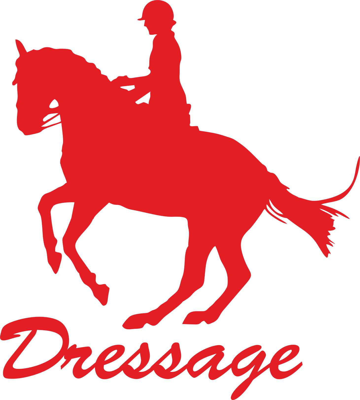 Samolepka dressage