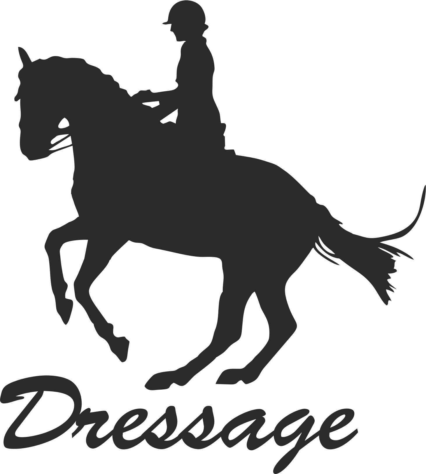 Samolepka dressage