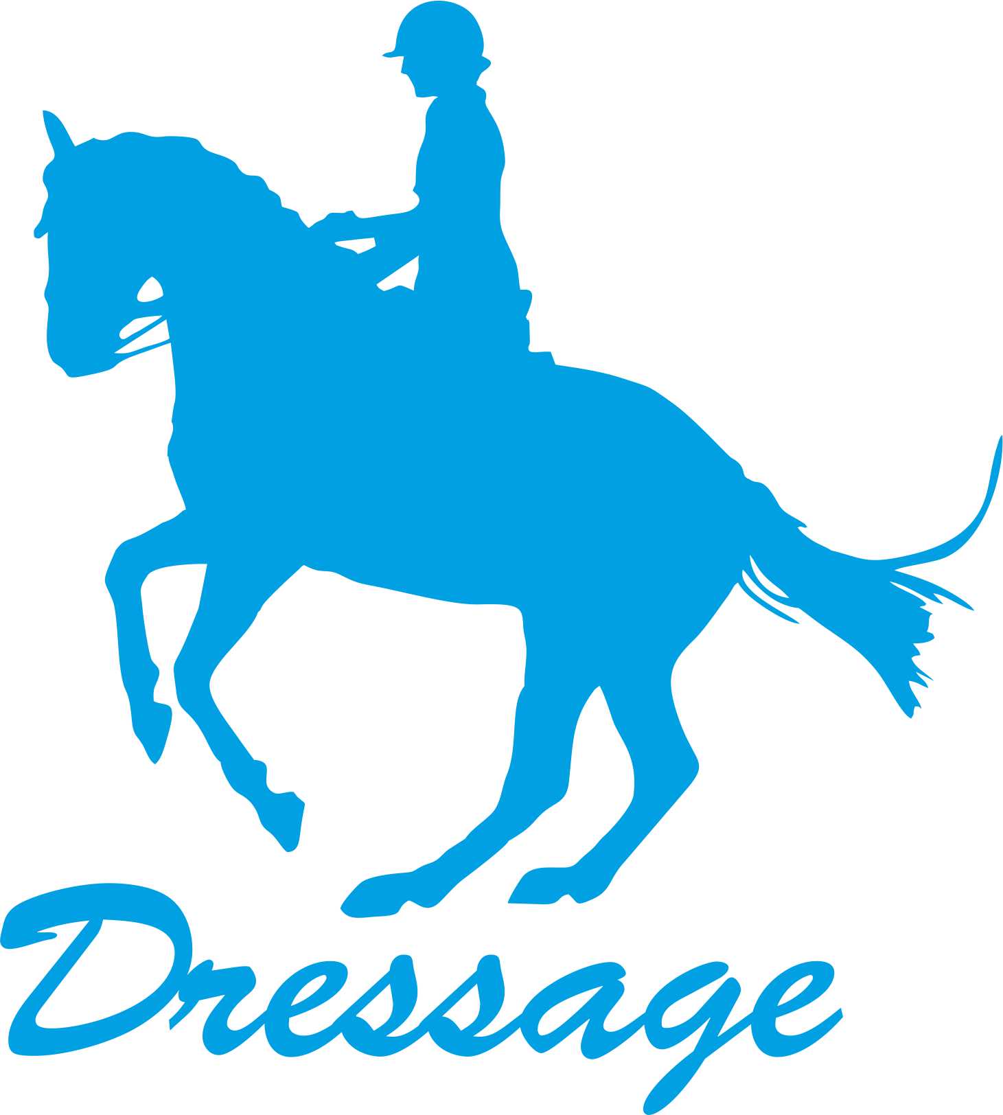 Samolepka dressage