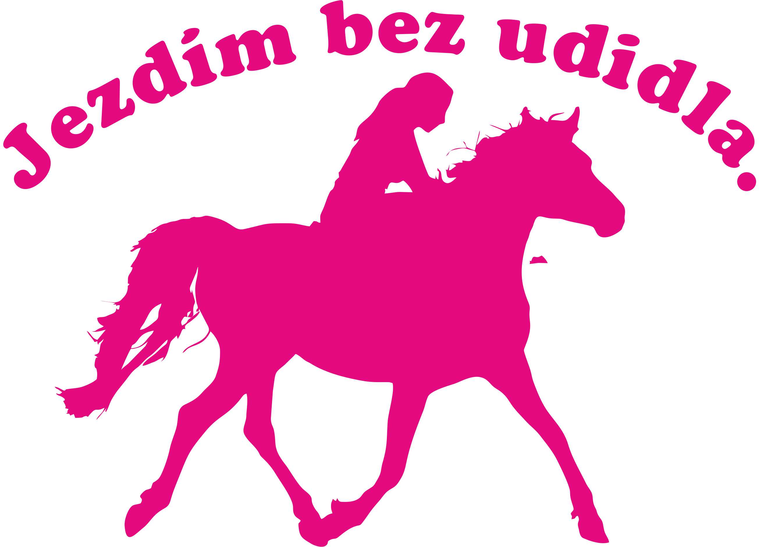 Samolepka jezdím bez udidla