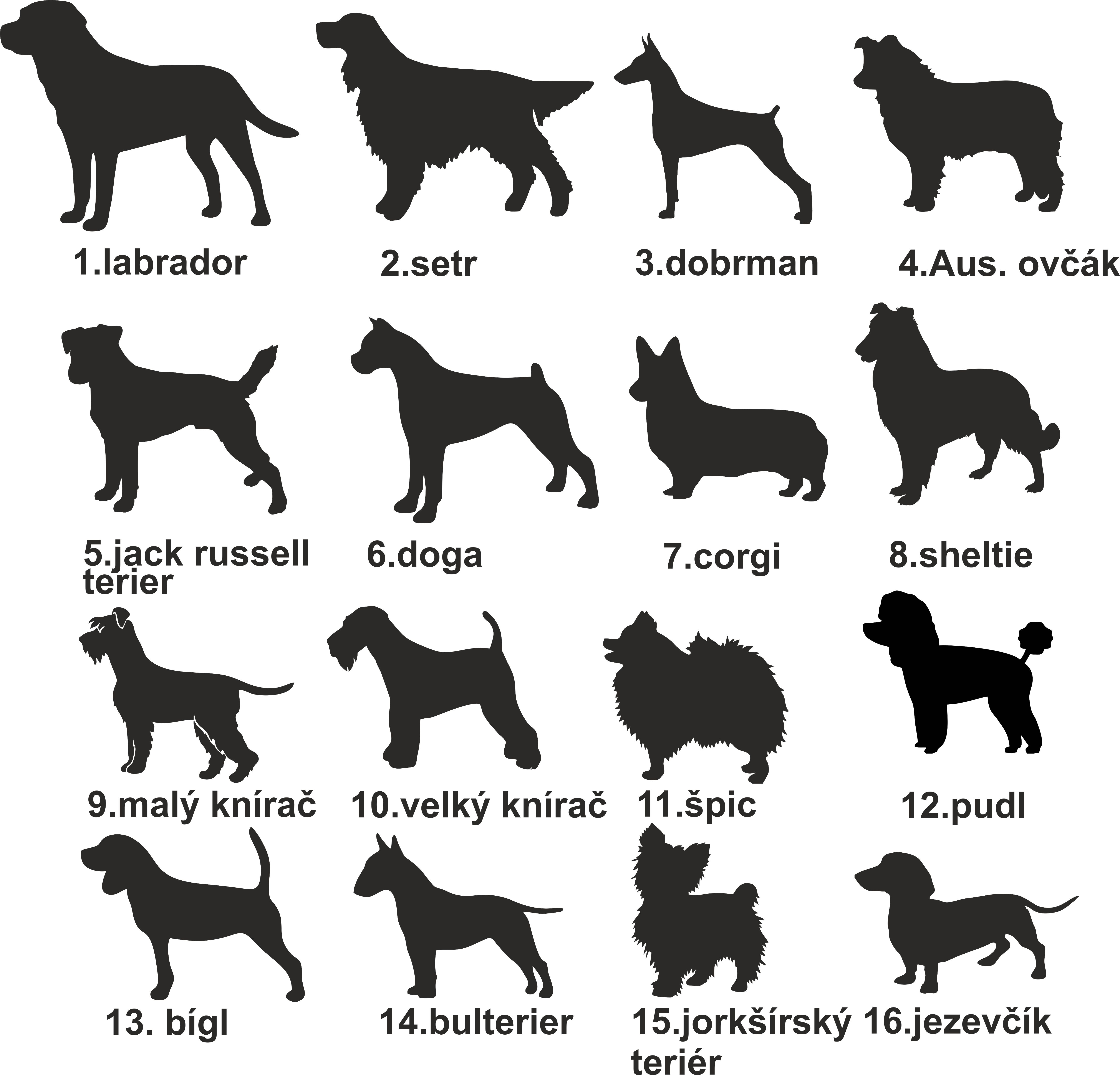 Mikina pozor pes - reflexní