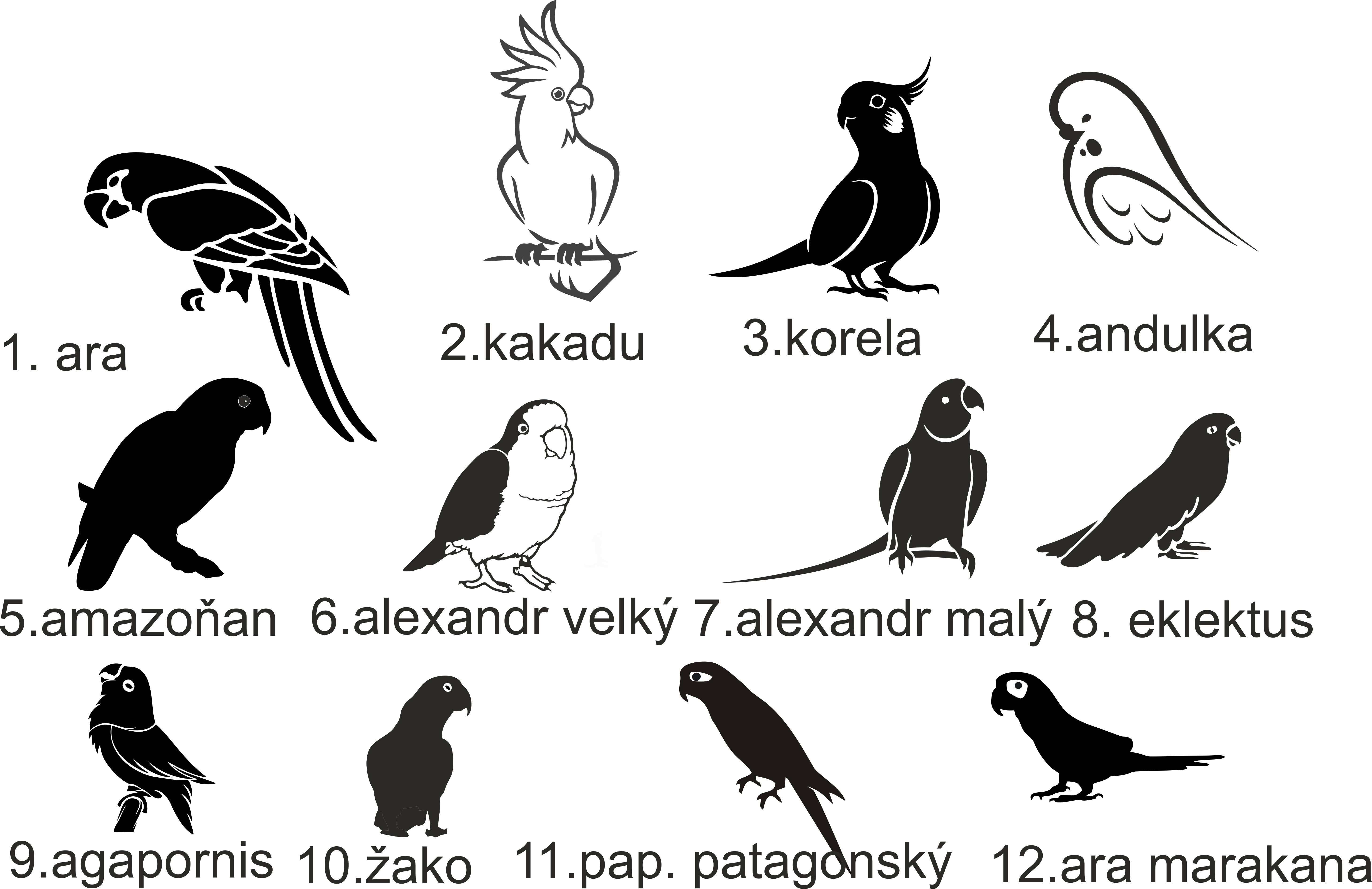 Triko papouščí máma