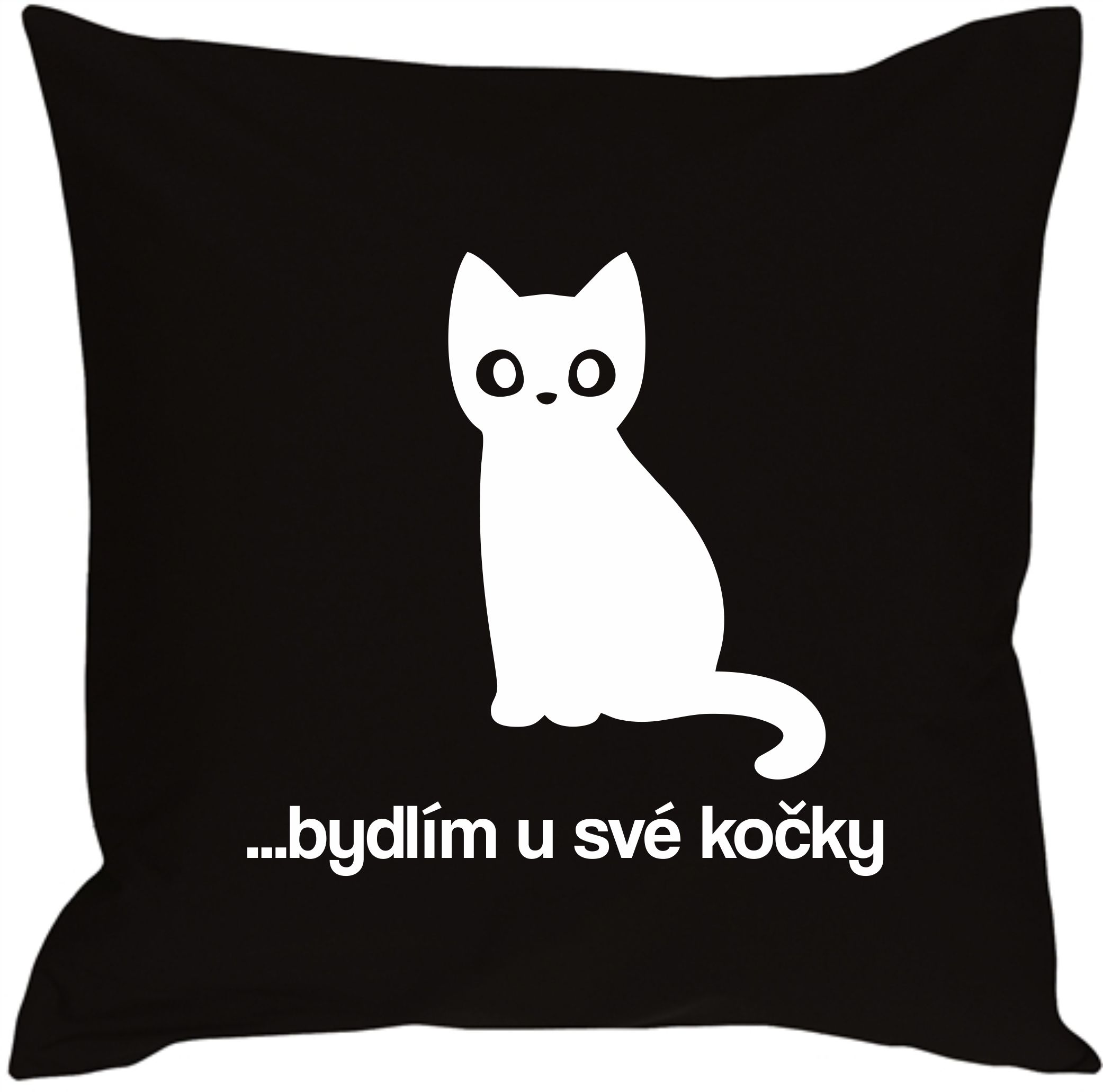 Polštář bydlím u své kočky