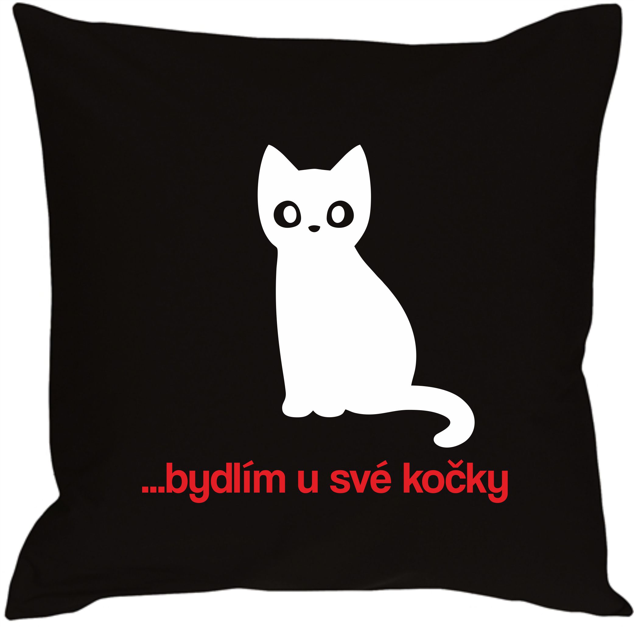 Polštář bydlím u své kočky