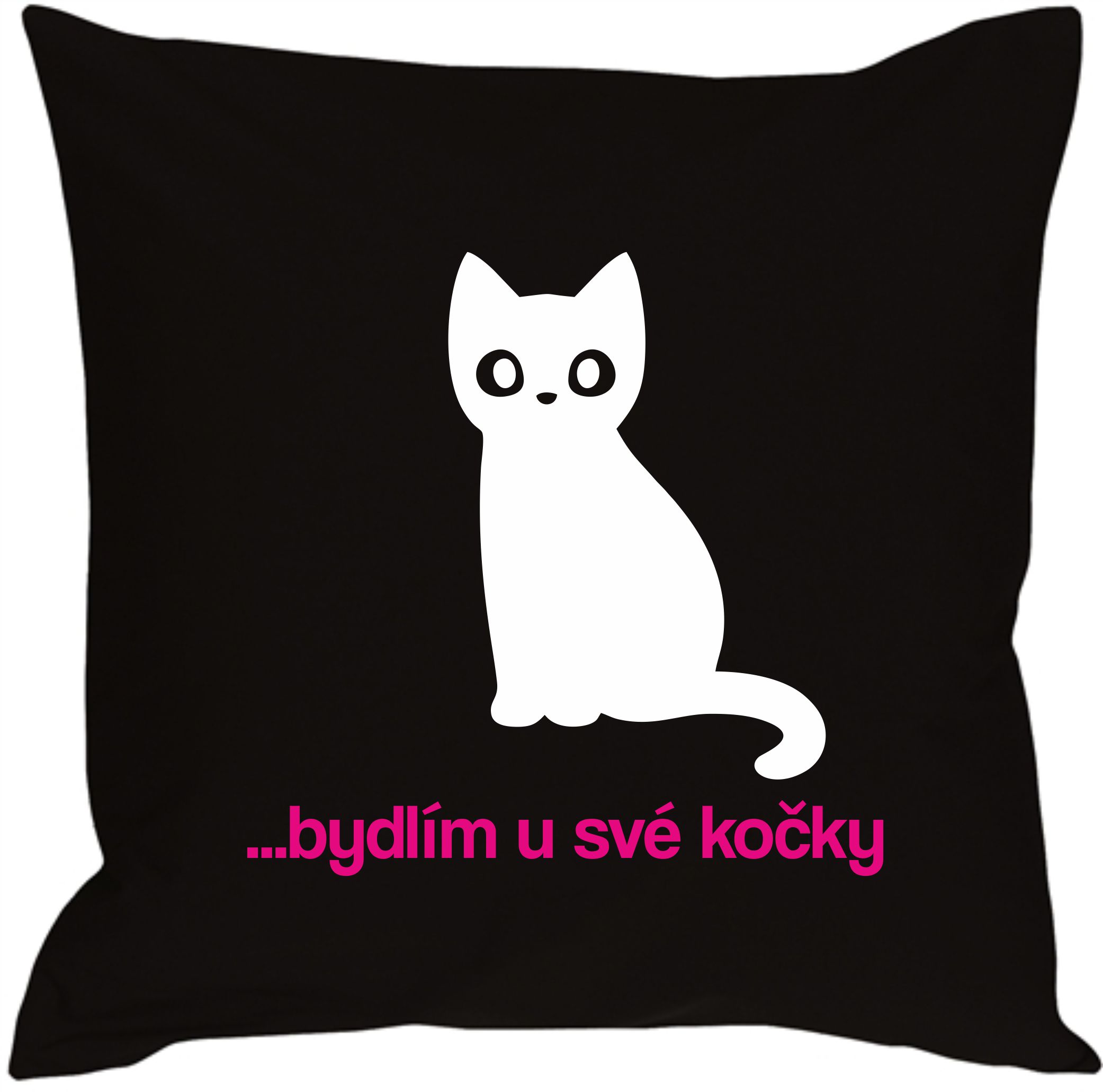 Polštář bydlím u své kočky