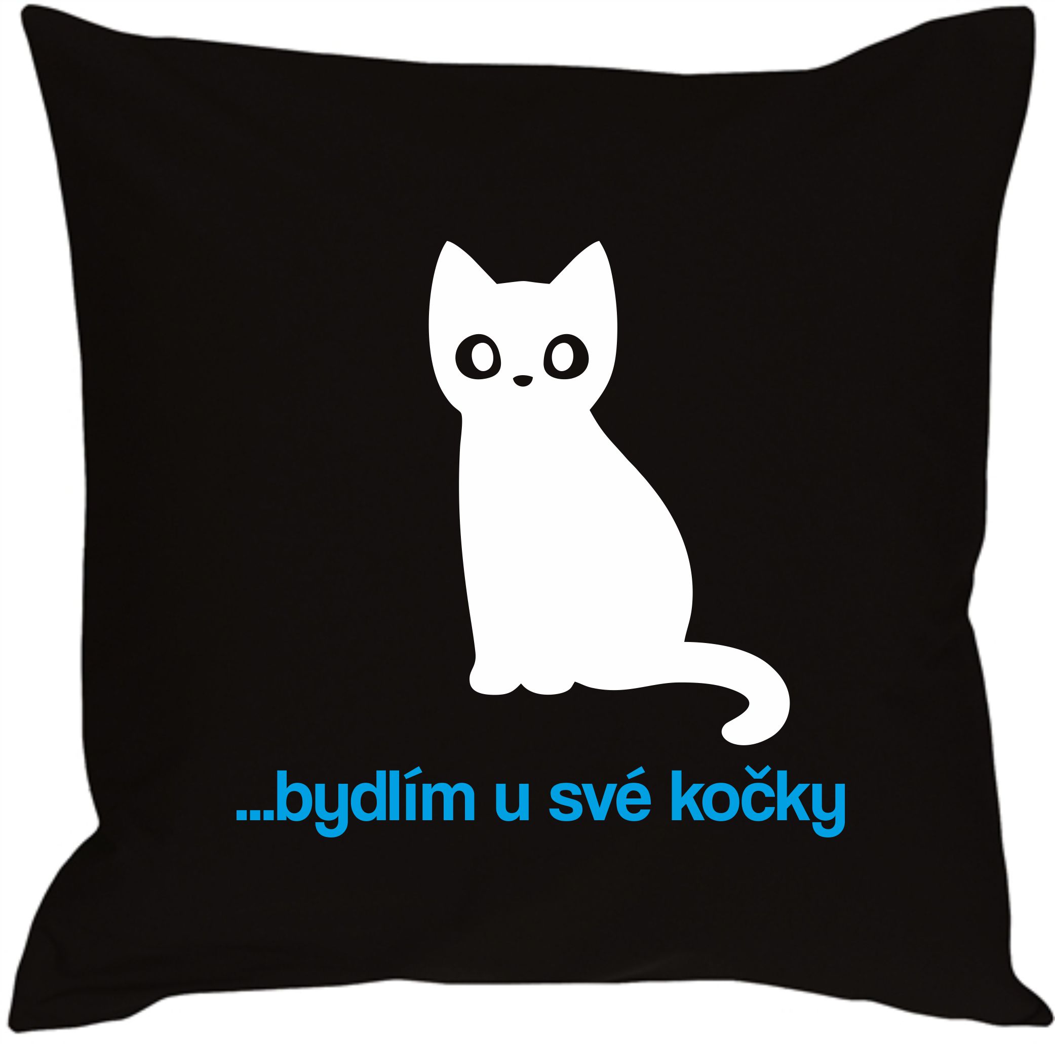 Polštář bydlím u své kočky