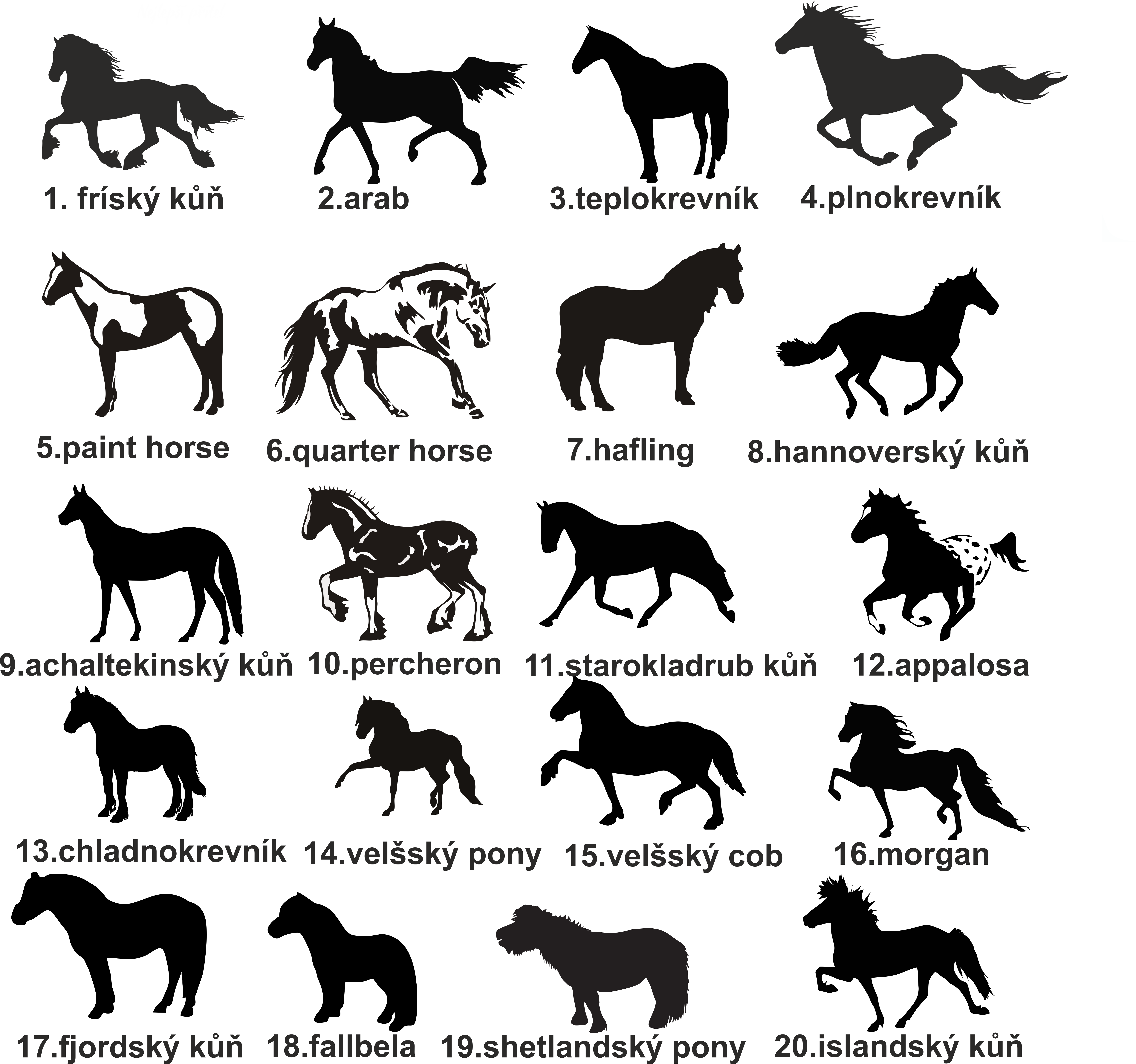 Triko můj nejlepší přítel