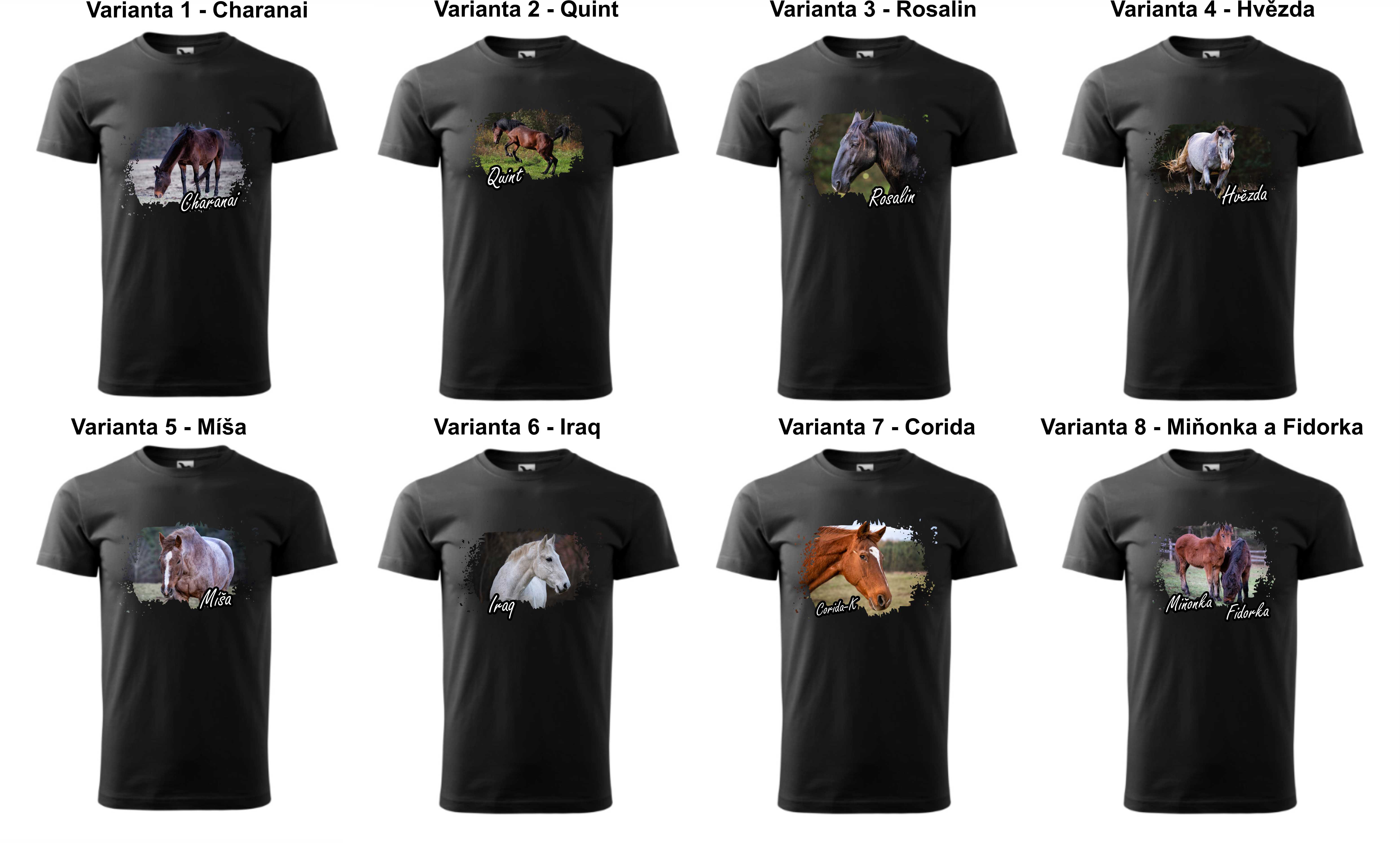 Výhodný balíček na podporu spolku Pinta 2024