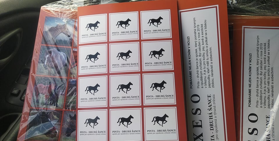 PEXESO -Pinta druhá šance