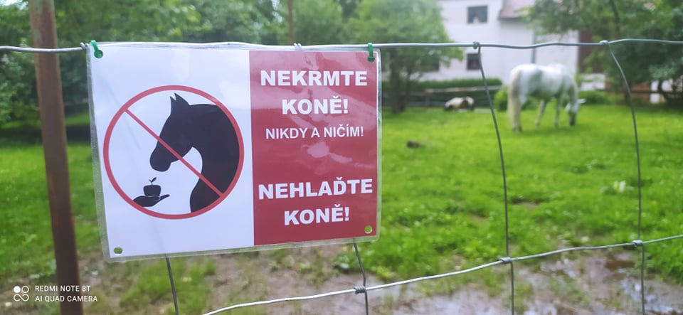 Cedulka - nekrmte koně