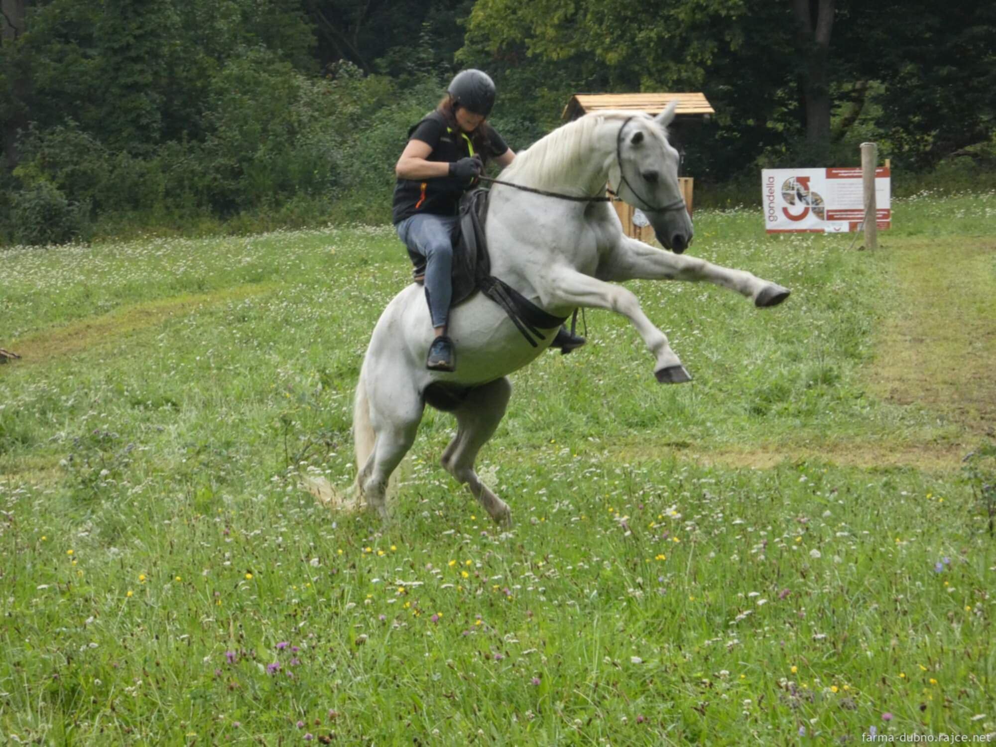 Tričko s vlastním animovaným motivem