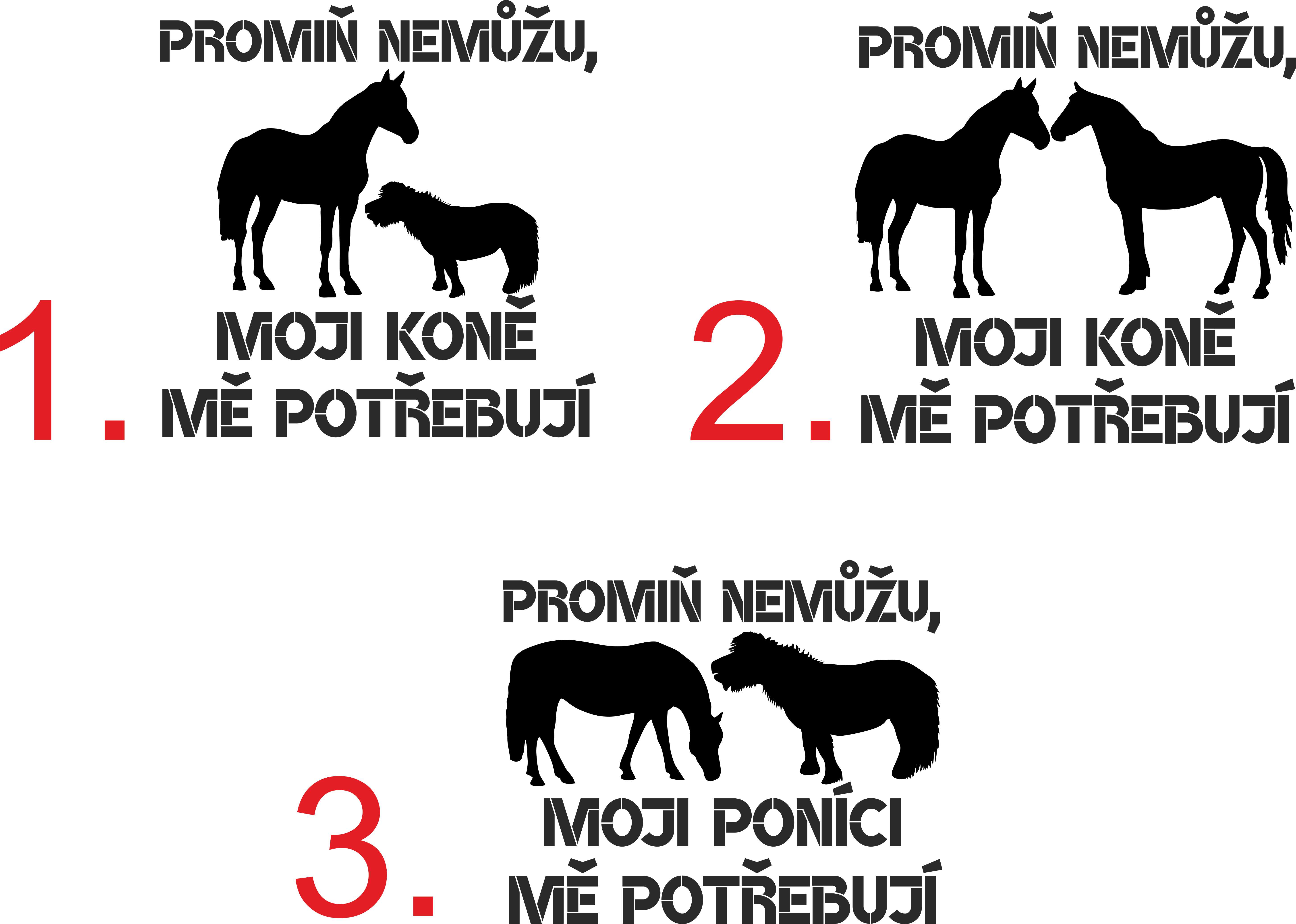 Tílko promiň nemůžu, moji koně mě potřebují