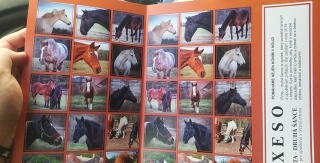 PEXESO -Pinta druhá šance